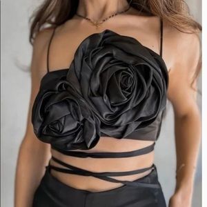 NWT Zara Floral Appliqué Cropped Top